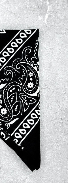Bandana Texas Nera