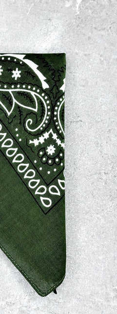 Bandana Texas Verde