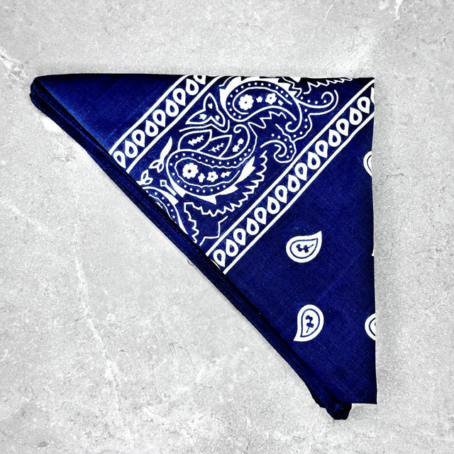 Bandana Texas Blu
