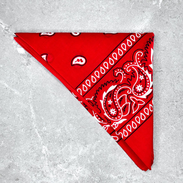 Bandana Texas Rossa