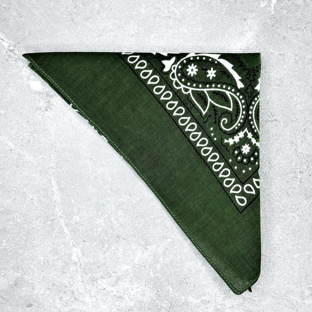 Bandana Texas Verde